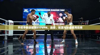 手把手教你使用517VPN，连接、配置与安全使用指南