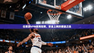 任意游VPN使用指南，安全上网的便捷之选