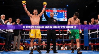 企业级VPN密码申请流程详解与安全策略建议