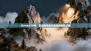 Shrewd VPN，企业级安全与性能的明智之选