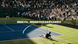 揭秘梭VPN，网络迷雾中的安全陷阱与合规警示