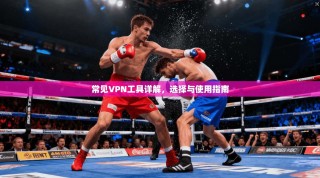 常见VPN工具详解，选择与使用指南