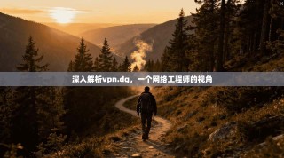 深入解析vpn.dg，一个网络工程师的视角
