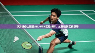 华为设备上配置SSL-VPN实验详解，从基础到实战部署
