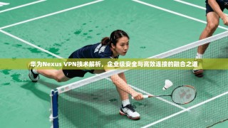 华为Nexus VPN技术解析，企业级安全与高效连接的融合之道