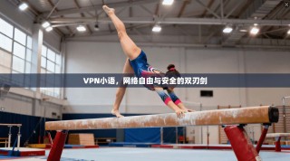 VPN小语，网络自由与安全的双刃剑