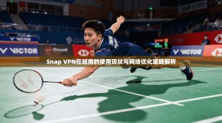 Snap VPN在越南的使用现状与网络优化策略解析