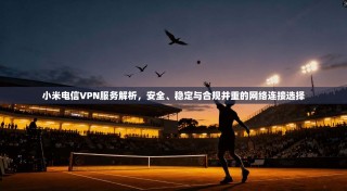 小米电信VPN服务解析，安全、稳定与合规并重的网络连接选择