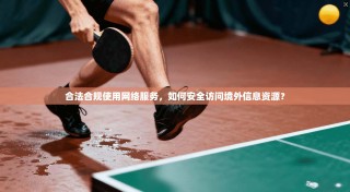 合法合规使用网络服务，如何安全访问境外信息资源？