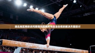 湖北地区网络访问受限问题解析与合法合规的解决方案探讨