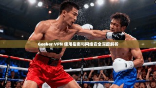 Geeker VPN 使用指南与网络安全深度解析