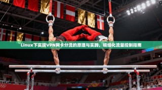 Linux下实现VPN网卡分流的原理与实践，精细化流量控制指南