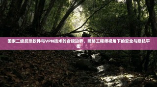 国家二级反恐软件与VPN技术的合规边界，网络工程师视角下的安全与隐私平衡