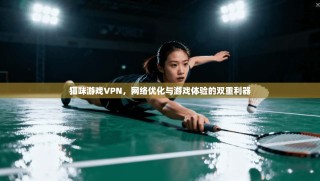 猫咪游戏VPN，网络优化与游戏体验的双重利器
