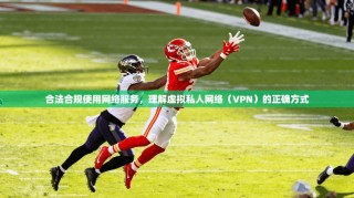 合法合规使用网络服务，理解虚拟私人网络（VPN）的正确方式