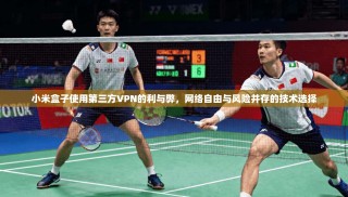 小米盒子使用第三方VPN的利与弊，网络自由与风险并存的技术选择