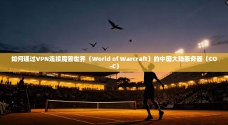 如何通过VPN连接魔兽世界（World of Warcraft）的中国大陆服务器（CO-C）