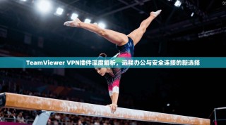 TeamViewer VPN插件深度解析，远程办公与安全连接的新选择