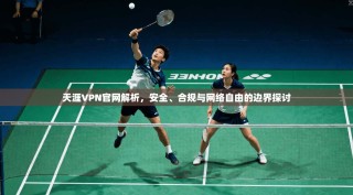 天涯VPN官网解析，安全、合规与网络自由的边界探讨