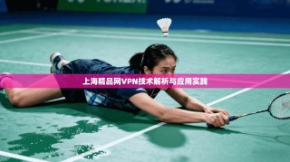 上海精品网VPN技术解析与应用实践