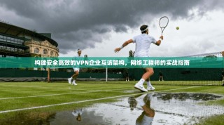构建安全高效的VPN企业互访架构，网络工程师的实战指南