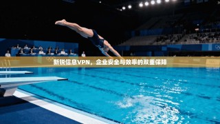 新锐信息VPN，企业安全与效率的双重保障
