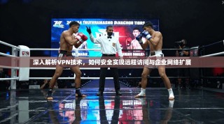 深入解析VPN技术，如何安全实现远程访问与企业网络扩展
