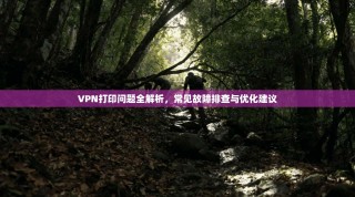 VPN打印问题全解析，常见故障排查与优化建议