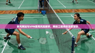 赛风网站与VPN使用风险解析，网络工程师的深度警示