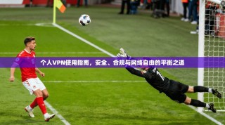 个人VPN使用指南，安全、合规与网络自由的平衡之道