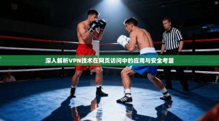深入解析VPN技术在网页访问中的应用与安全考量