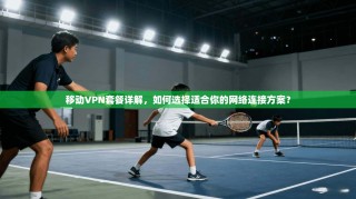 移动VPN套餐详解，如何选择适合你的网络连接方案？