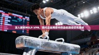 深入解析MSLP.VPN，现代企业网络中的动态路径优化技术