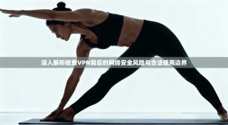 深入解析收费VPN背后的网络安全风险与合法使用边界
