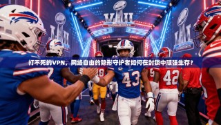 打不死的VPN，网络自由的隐形守护者如何在封锁中顽强生存？