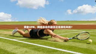 黄金VPN，网络自由的捷径还是潜在风险？