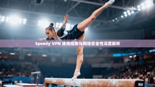 Speedy VPN 使用指南与网络安全性深度解析
