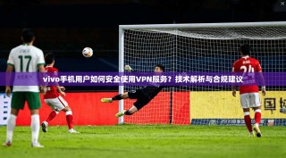 vivo手机用户如何安全使用VPN服务？技术解析与合规建议