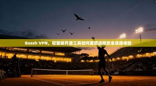 Gossh VPN，轻量级开源工具如何重塑远程安全连接体验