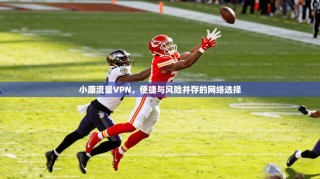 小康流量VPN，便捷与风险并存的网络选择