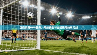 正规收费VPN服务，网络安全与合规使用的双刃剑