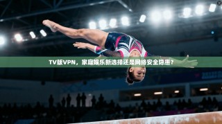 TV版VPN，家庭娱乐新选择还是网络安全隐患？
