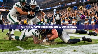 Surf Easy VPN 使用指南与网络安全性深度解析