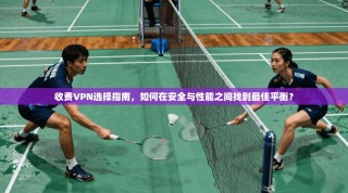收费VPN选择指南，如何在安全与性能之间找到最佳平衡？
