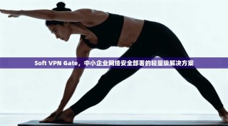 Soft VPN Gate，中小企业网络安全部署的轻量级解决方案