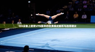 iOS设备上使用VPN服务的收费模式解析与选择建议