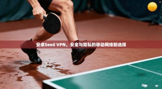 安卓Seed VPN，安全与隐私的移动网络新选择