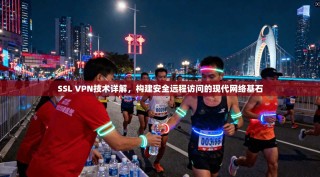SSL VPN技术详解，构建安全远程访问的现代网络基石
