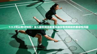 1.3.2可以用VPN吗？深入解析网络配置与虚拟专用网络的兼容性问题