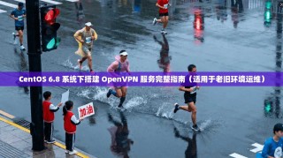 CentOS 6.8 系统下搭建 OpenVPN 服务完整指南（适用于老旧环境运维）